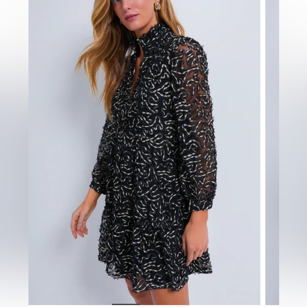 TUCKERNUCK
Nightly Organza Palmerston Dress RT $198 gold black holiday SMALL - Picture 8 of 12